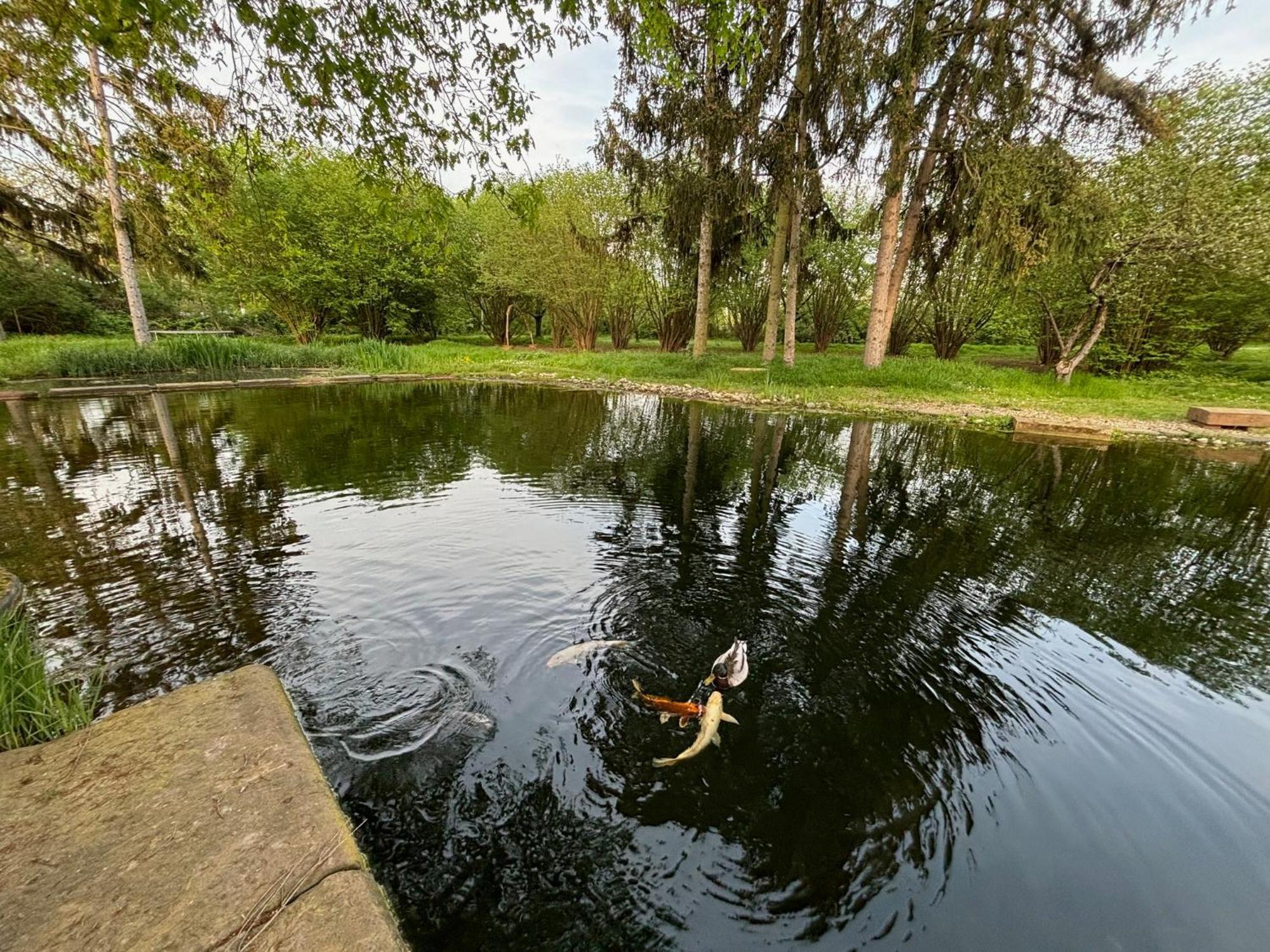 Datscha Am See 沃尔姆斯 外观 照片