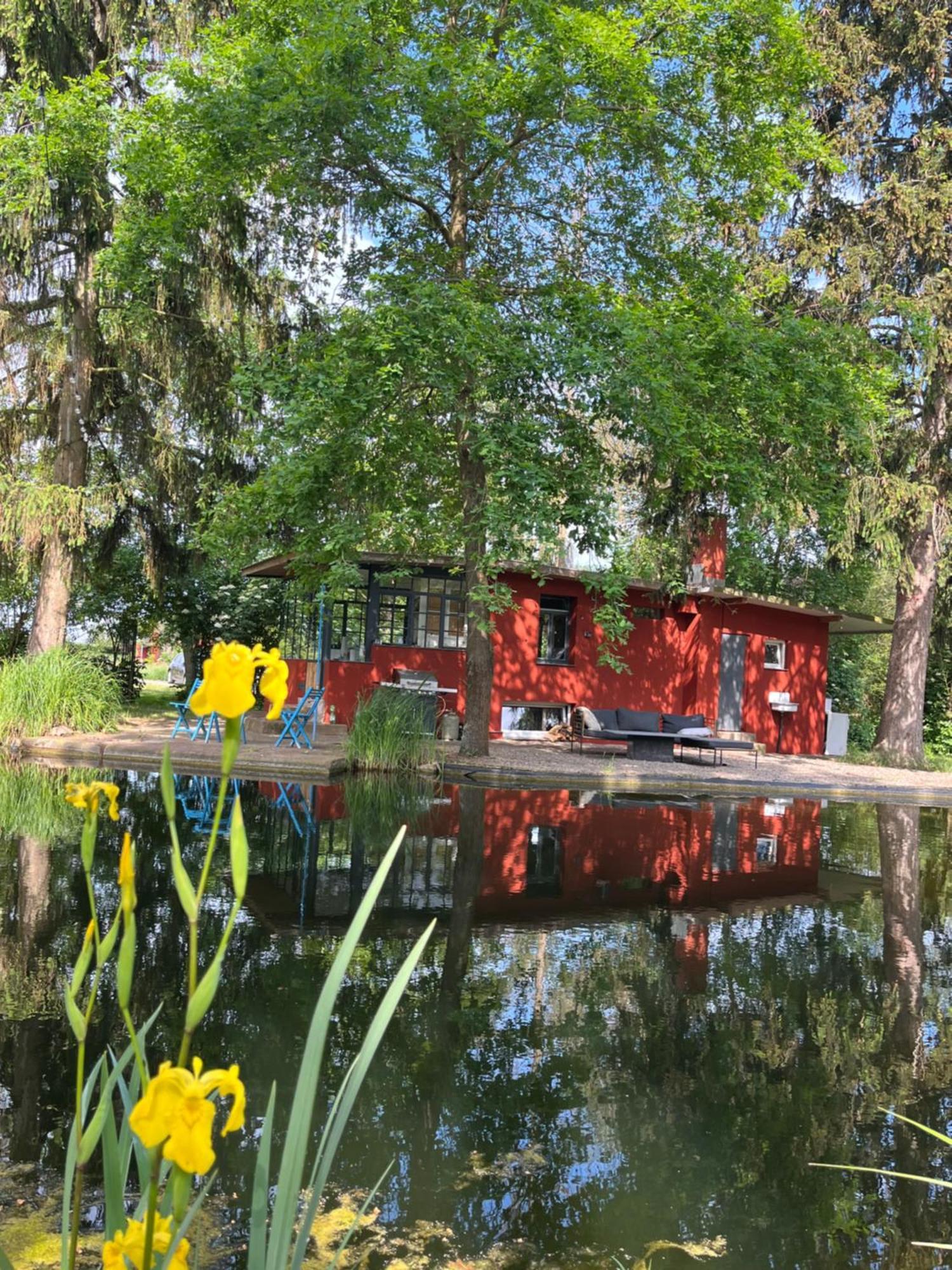 Datscha Am See 沃尔姆斯 外观 照片